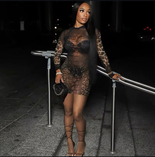 Cheetah Sheer Dress